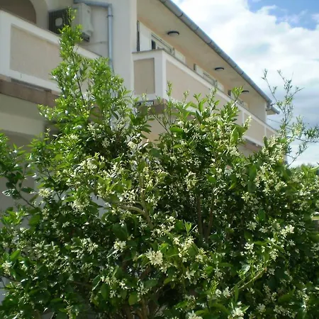 Apartment Jagoda Kampor