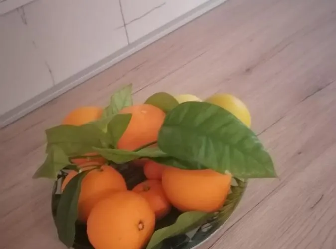 Jagoda Apartament Kampor
